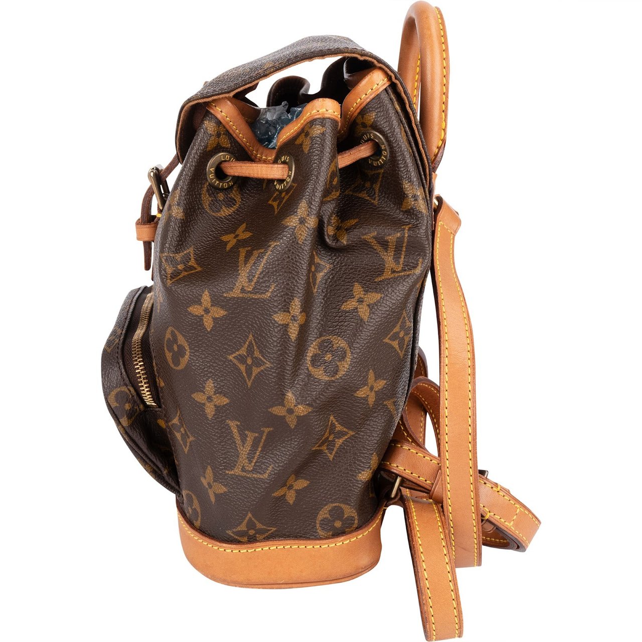 Louis Vuitton Louis Vuitton Monogram Canvas Montsouris PM Backpack Bruin