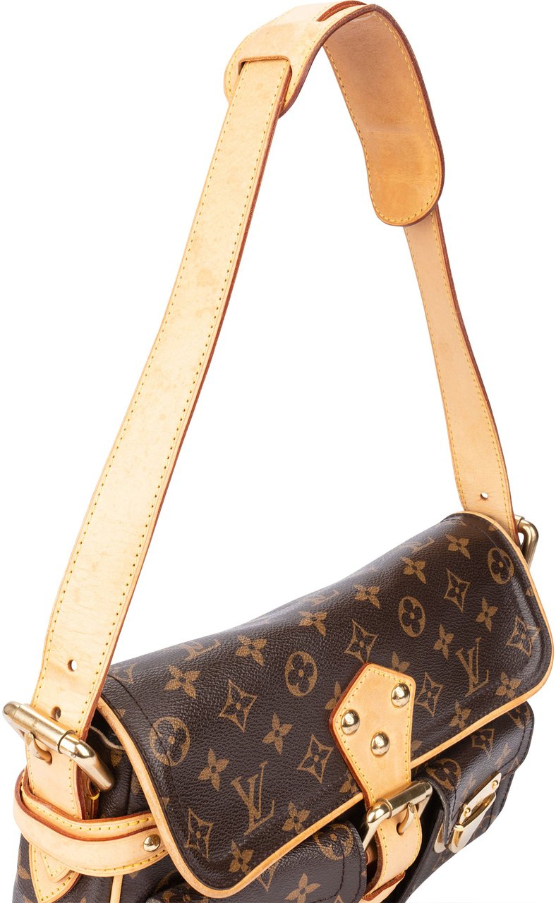 Louis Vuitton Louis Vuitton Canvas Monogram Hudson PM Shoulder Bag Divers