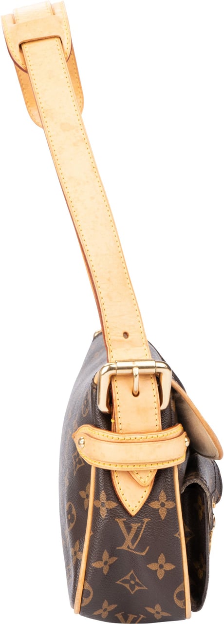 Louis Vuitton Louis Vuitton Canvas Monogram Hudson PM Shoulder Bag Divers