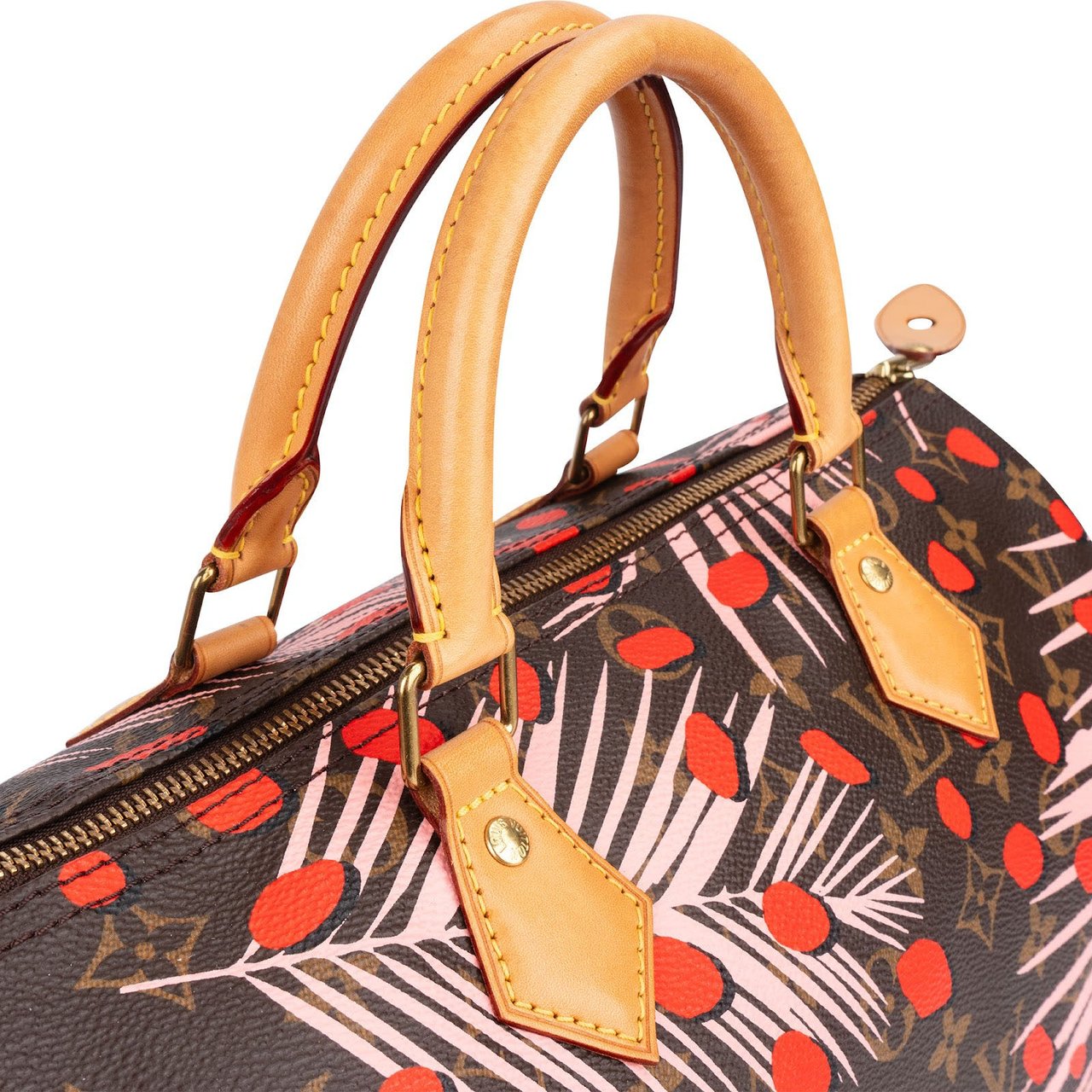 Louis Vuitton Limited Jungle Dots Monogram Speedy 30 Handbag Bruin