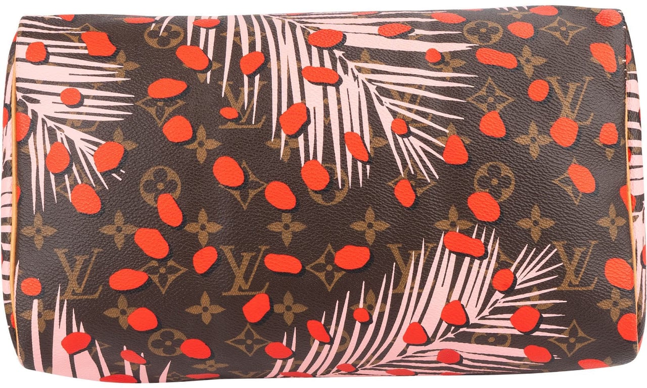 Louis Vuitton Limited Jungle Dots Monogram Speedy 30 Handbag Bruin