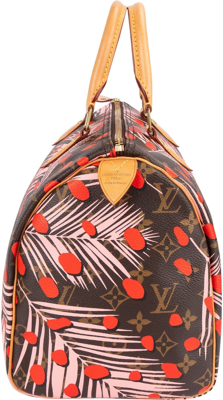 Louis Vuitton Limited Jungle Dots Monogram Speedy 30 Handbag Bruin
