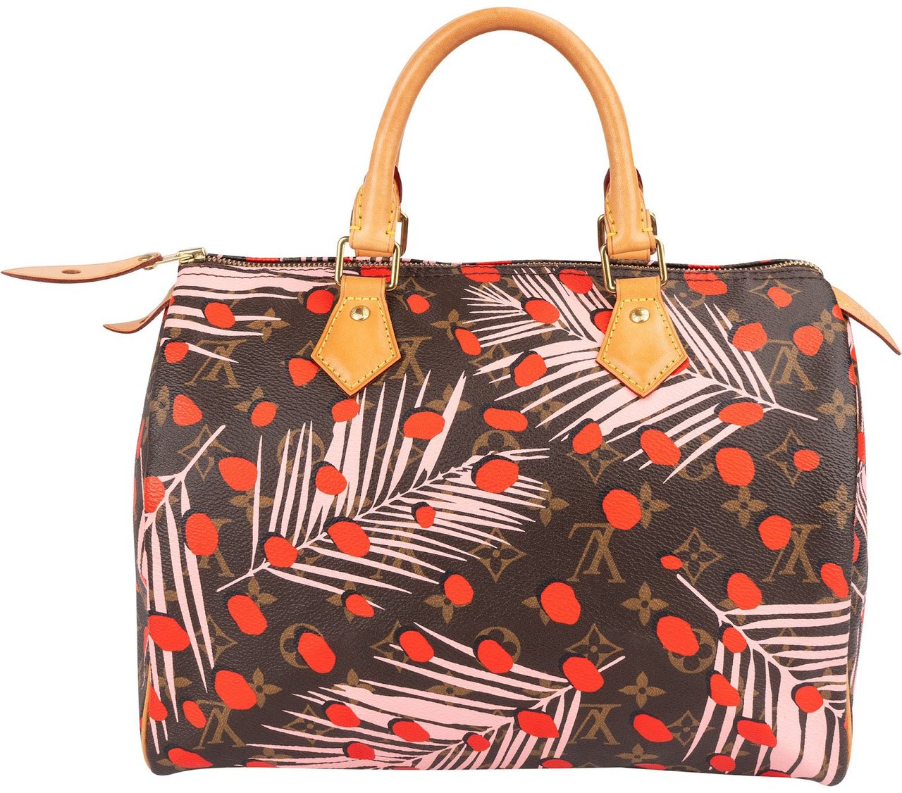 Louis Vuitton Limited Jungle Dots Monogram Speedy 30 Handbag Bruin
