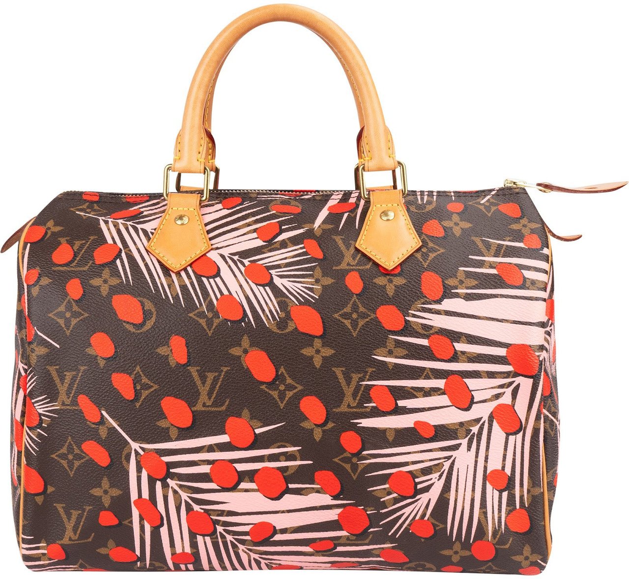 Louis Vuitton Limited Jungle Dots Monogram Speedy 30 Handbag Bruin
