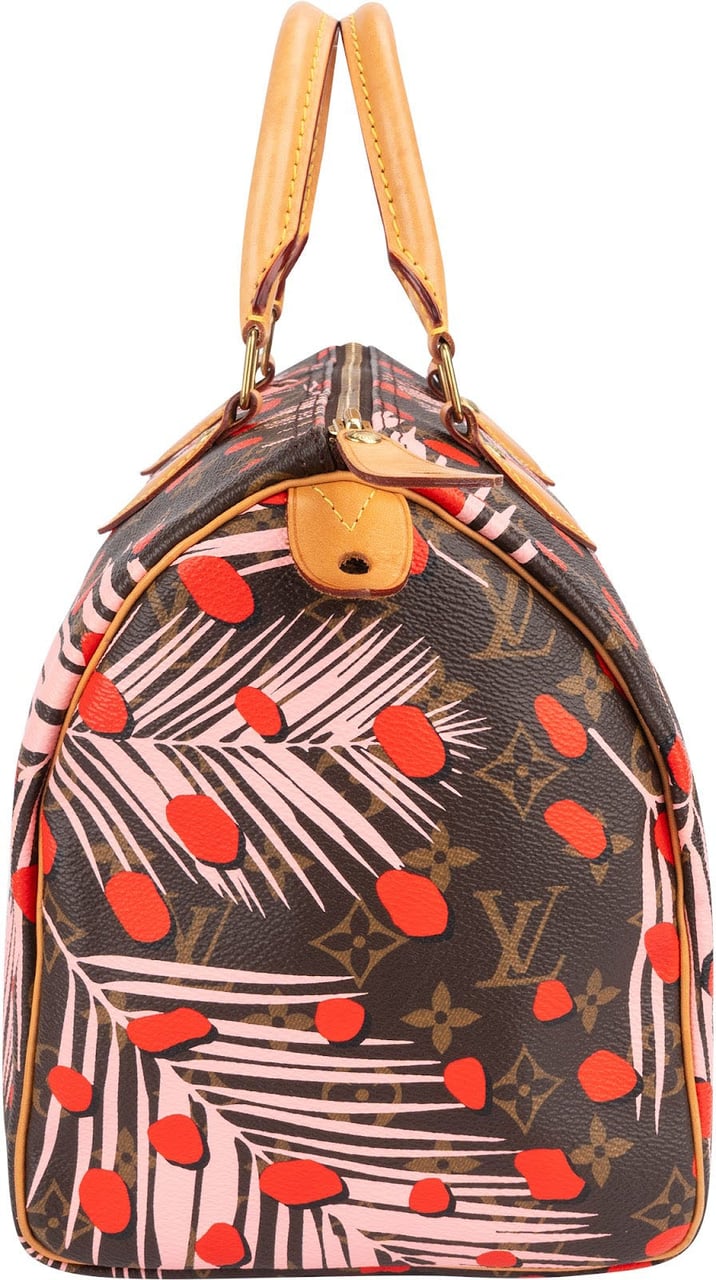 Louis Vuitton Limited Jungle Dots Monogram Speedy 30 Handbag Bruin