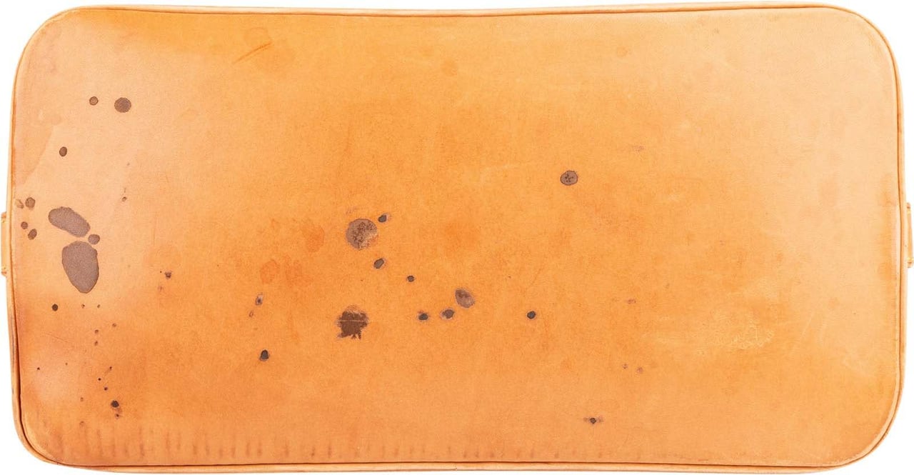 Louis Vuitton Louis Vuitton Monogram Canvas Alma PM Handbag Bruin