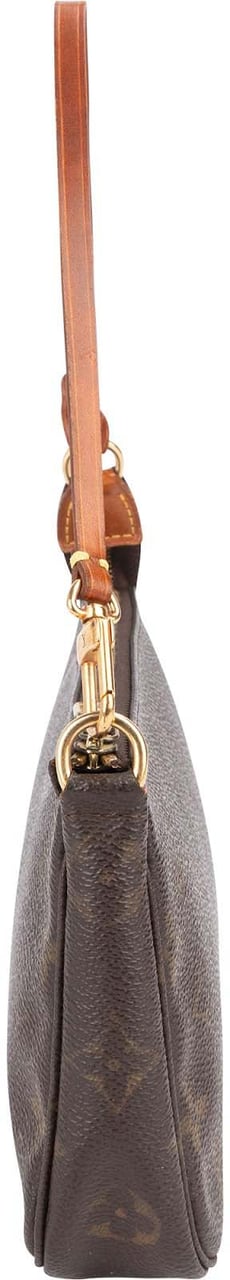 Louis Vuitton Louis Vuitton Monogram Canvas Pochette Accessoires Handbag Bruin
