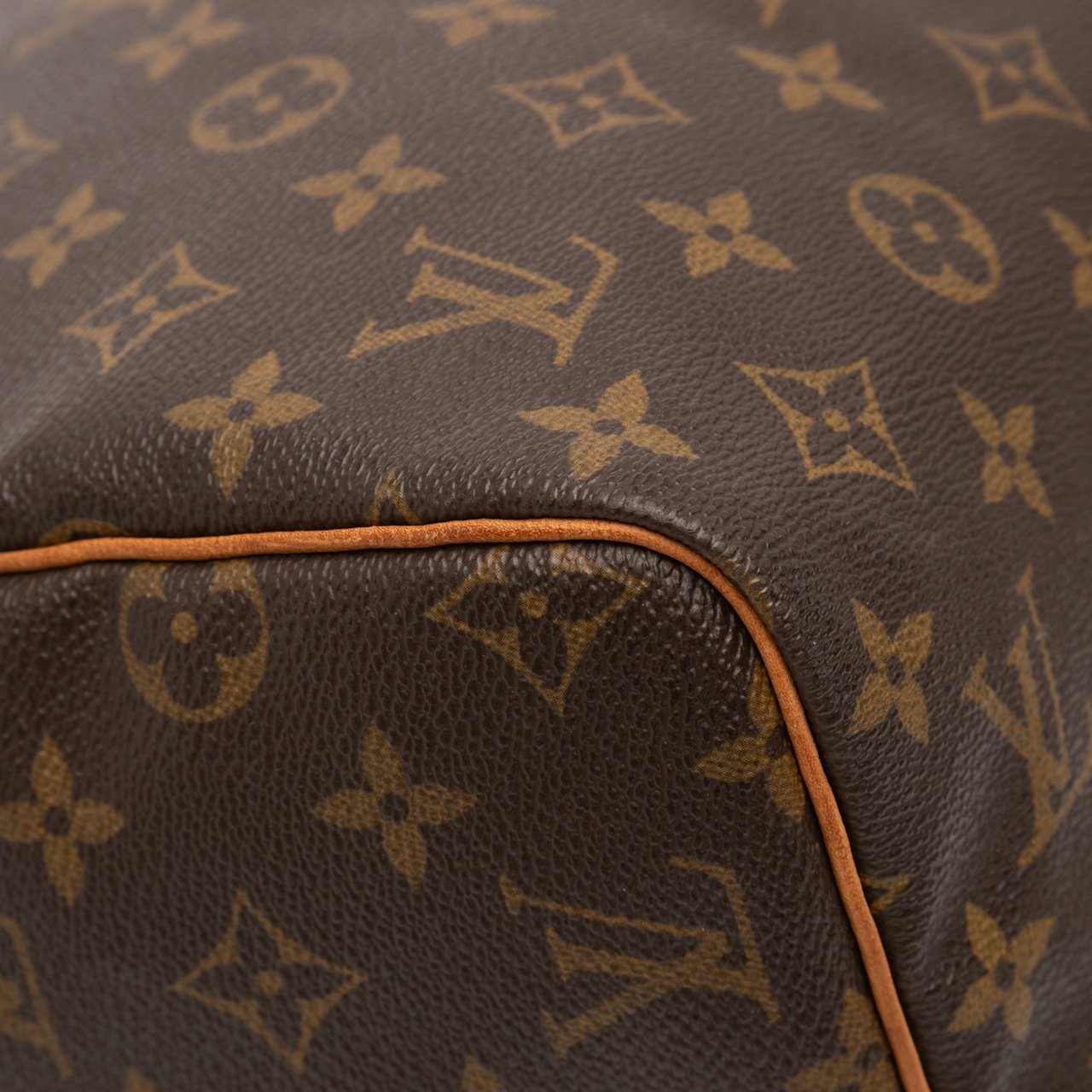Louis Vuitton Monogram Speedy 30 Bruin