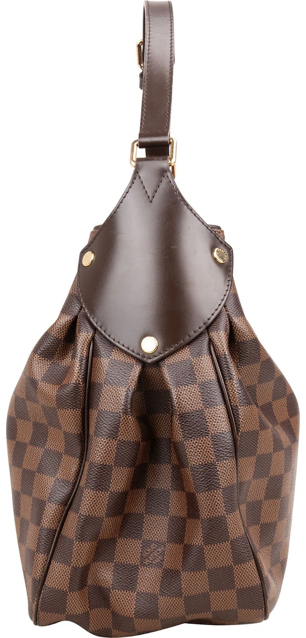 Louis Vuitton Louis Vuitton Monogram Damier Ebene Reggia Shoulder Bag Bruin