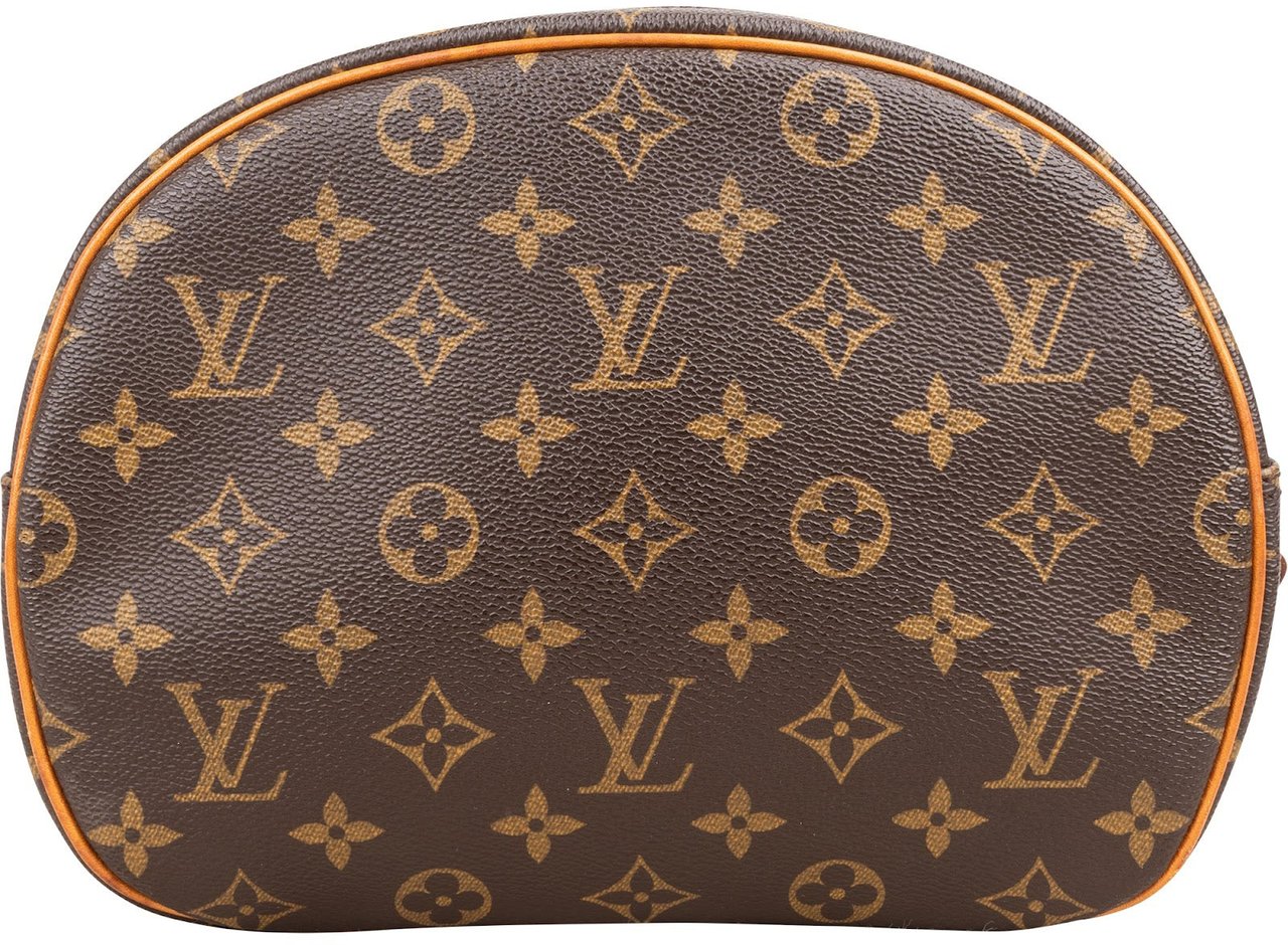 Louis Vuitton Louis Vuitton Monogram Canvas Blois Crossbody Bag Bruin