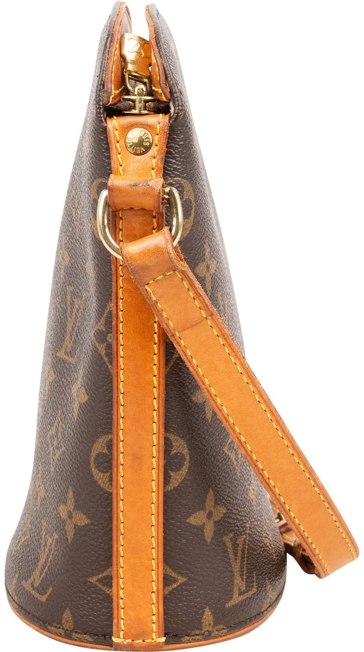 Louis Vuitton Louis Vuitton Monogram Canvas Drouot Crossbody Bag Bruin