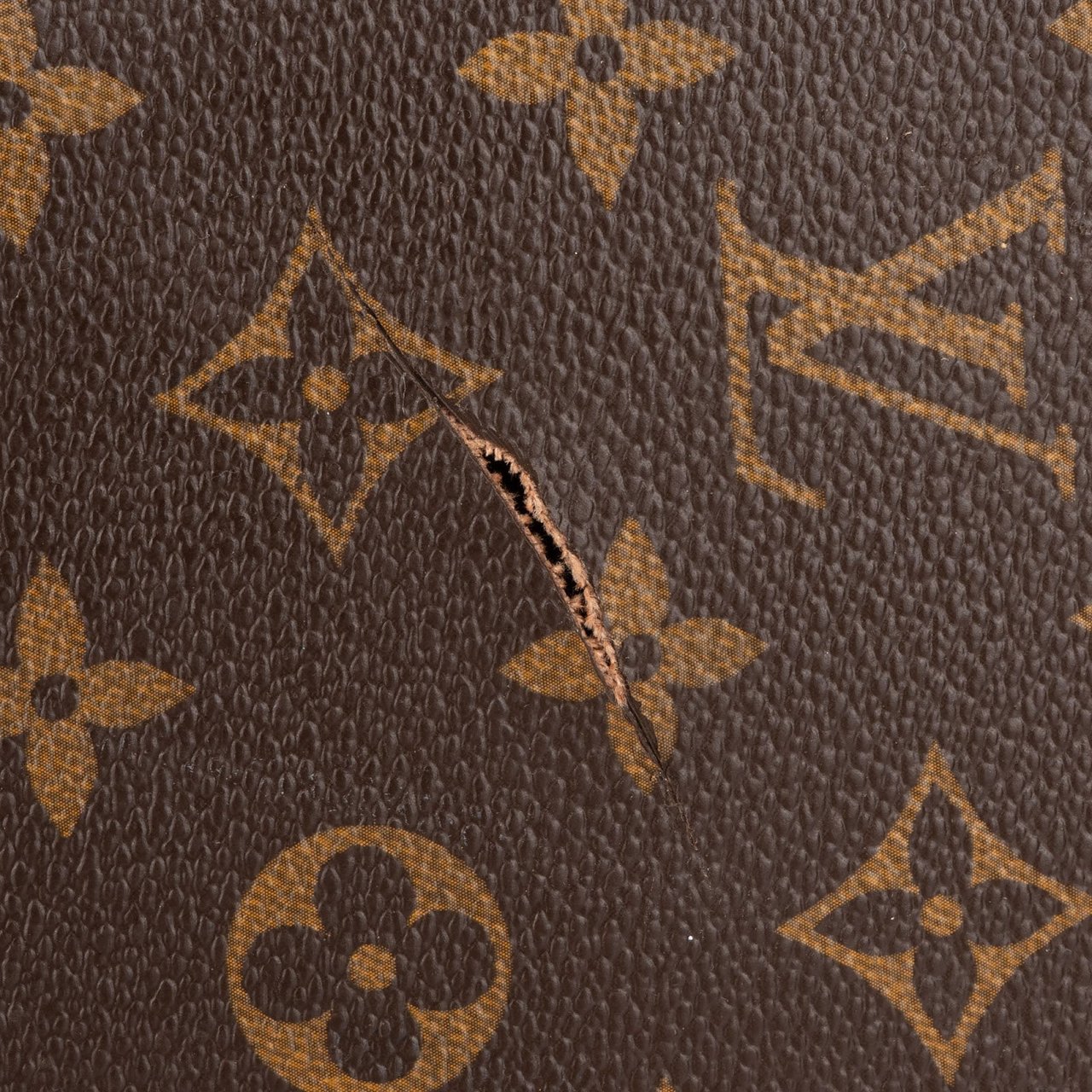 Louis Vuitton Monogram Canvas Eole Travel Bag Bruin