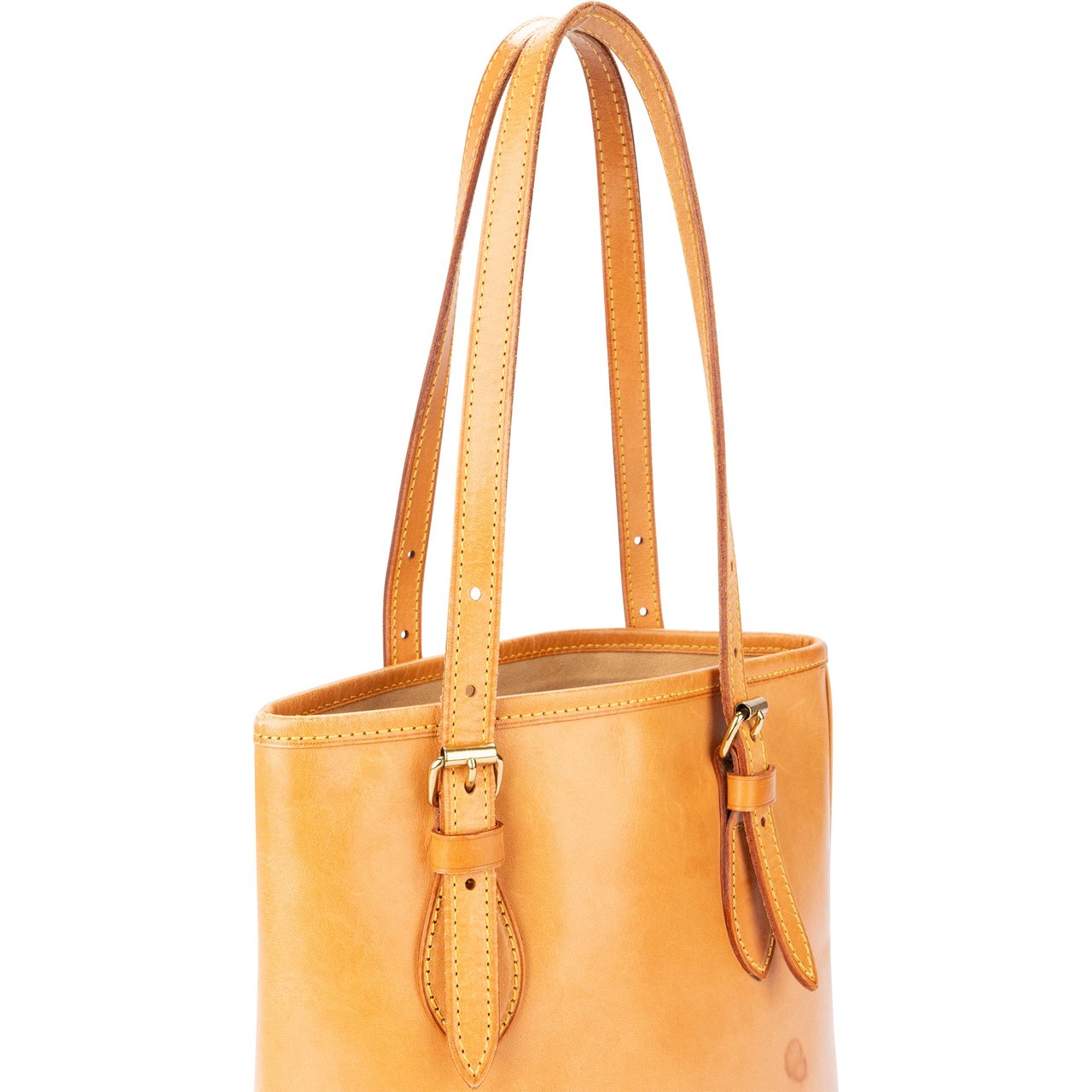 Louis Vuitton Louis Vuitton Nomade Mare Bucket PM Handbag Divers