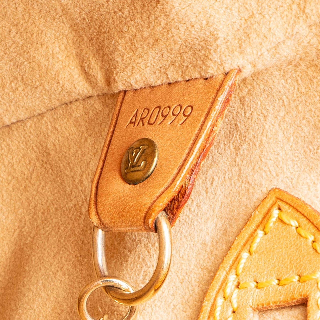 Louis Vuitton Louis Vuitton Nomade Mare Bucket PM Handbag Divers