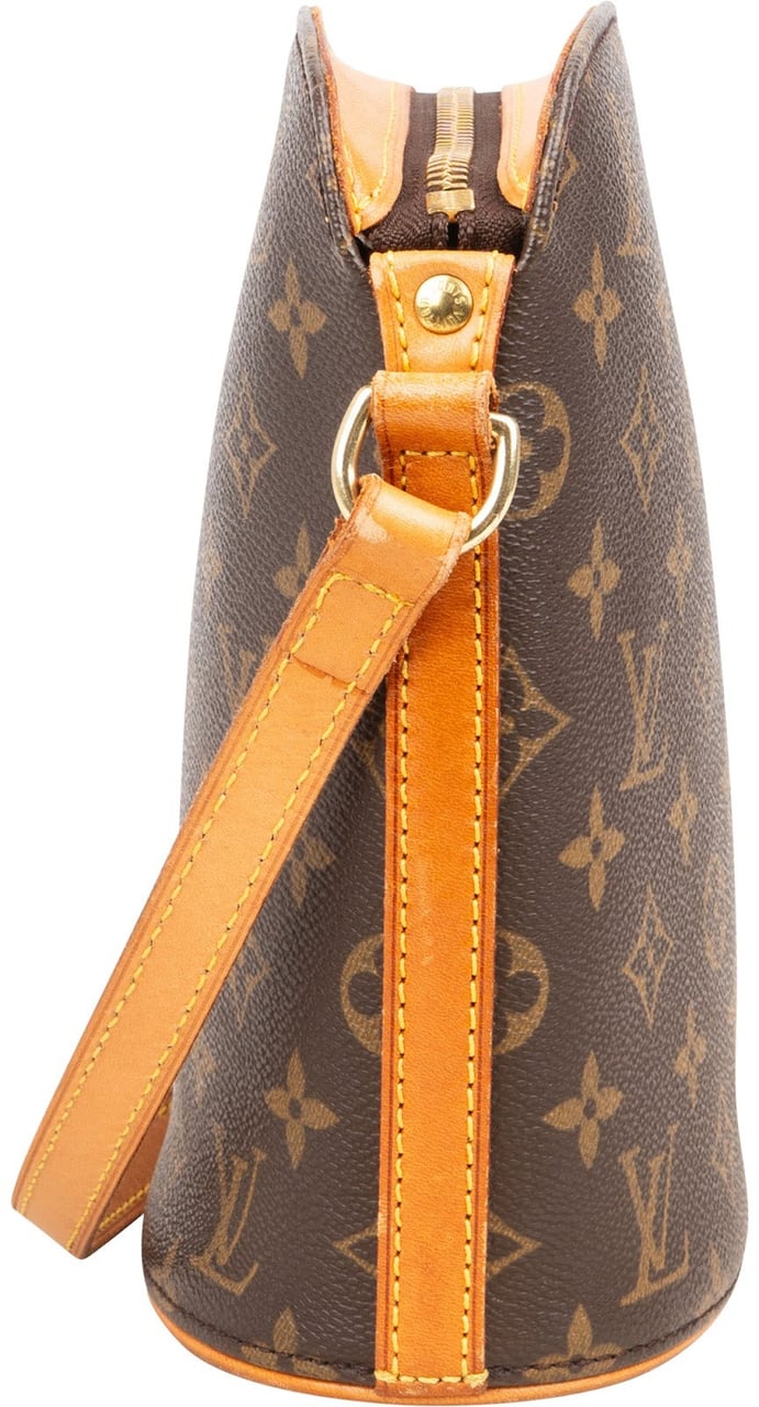 Louis Vuitton Louis Vuitton Monogram Canvas Drouot Crossbody Bag Bruin