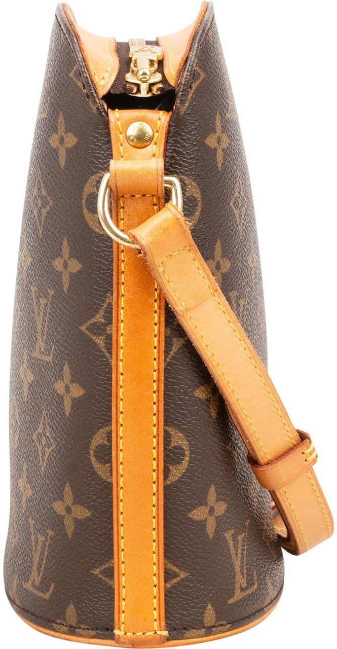 Louis Vuitton Louis Vuitton Monogram Canvas Drouot Crossbody Bag Bruin