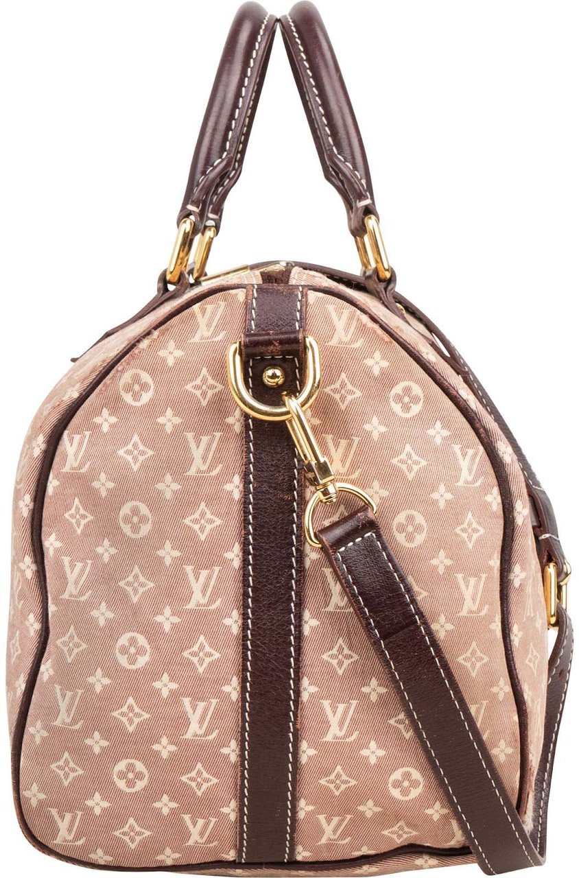 Louis Vuitton Monogram Mini Lin Speedy 30 Bandoulière Handbag Divers