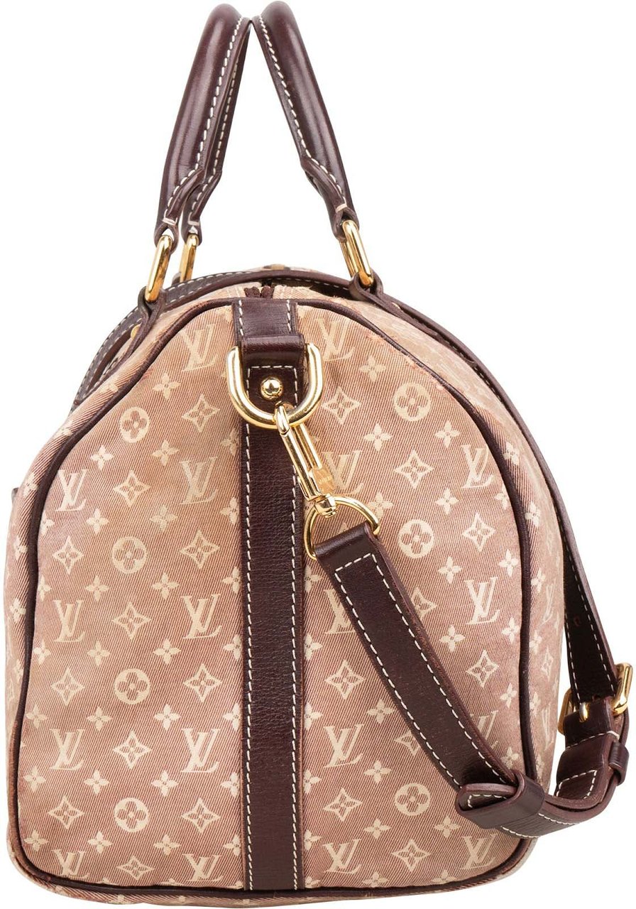 Louis Vuitton Monogram Mini Lin Speedy 30 Bandoulière Handbag Divers