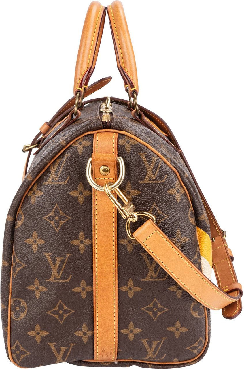 Louis Vuitton Louis Vuitton Monogram Canvas ID Speedy 30 Bandoulière Handbag Bruin