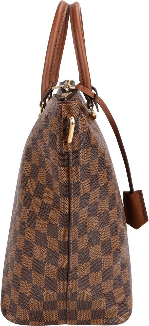 Louis Vuitton Louis Vuitton Monogram Damier Ebene Belmont MM Handbag Bruin