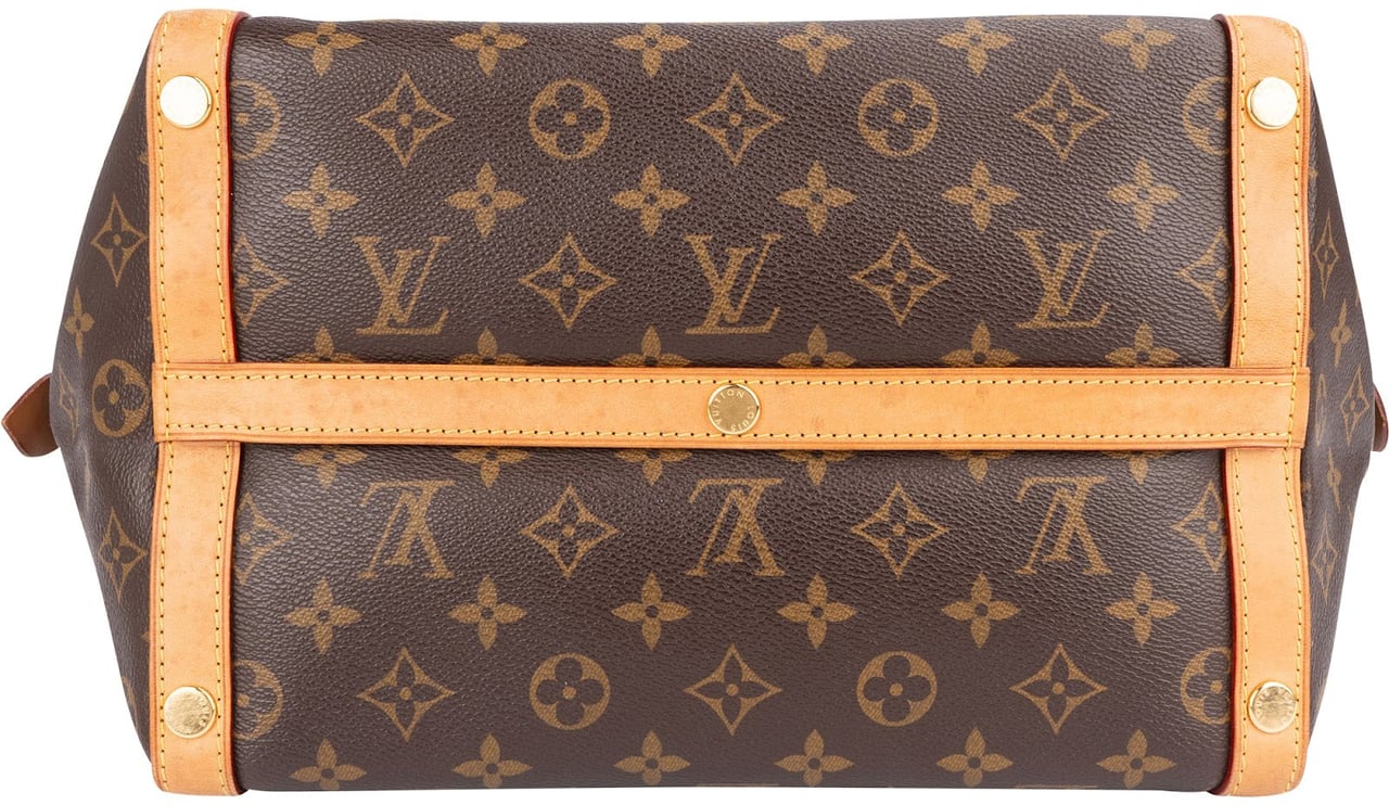 Louis Vuitton Louis Vuitton Monogram Canvas Marais MM Handbag Bruin