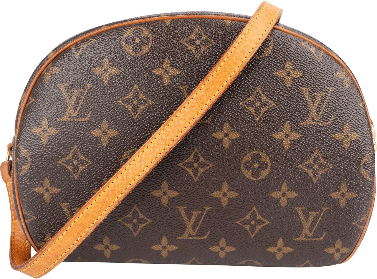 Louis Vuitton Louis Vuitton Monogram Canvas Blois Crossbody Bag Bruin