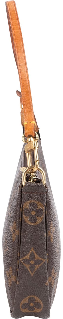 Louis Vuitton Louis Vuitton Monogram Canvas Pochette Accessoires Handbag Bruin