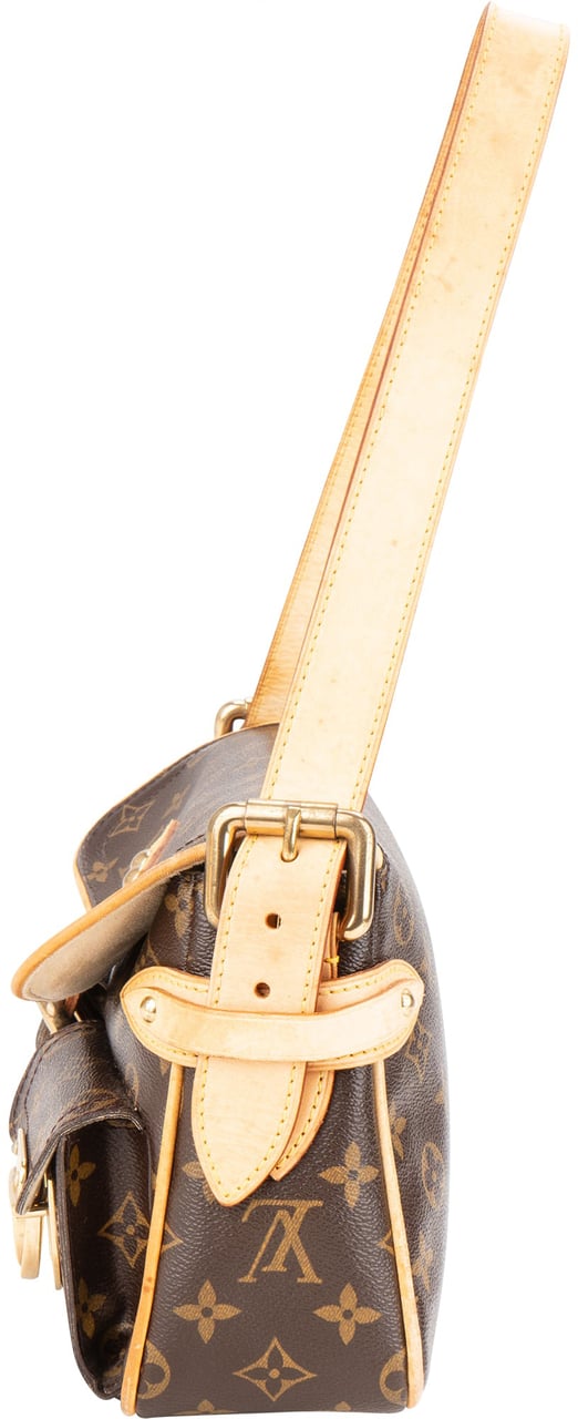 Louis Vuitton Louis Vuitton Canvas Monogram Hudson PM Shoulder Bag Divers
