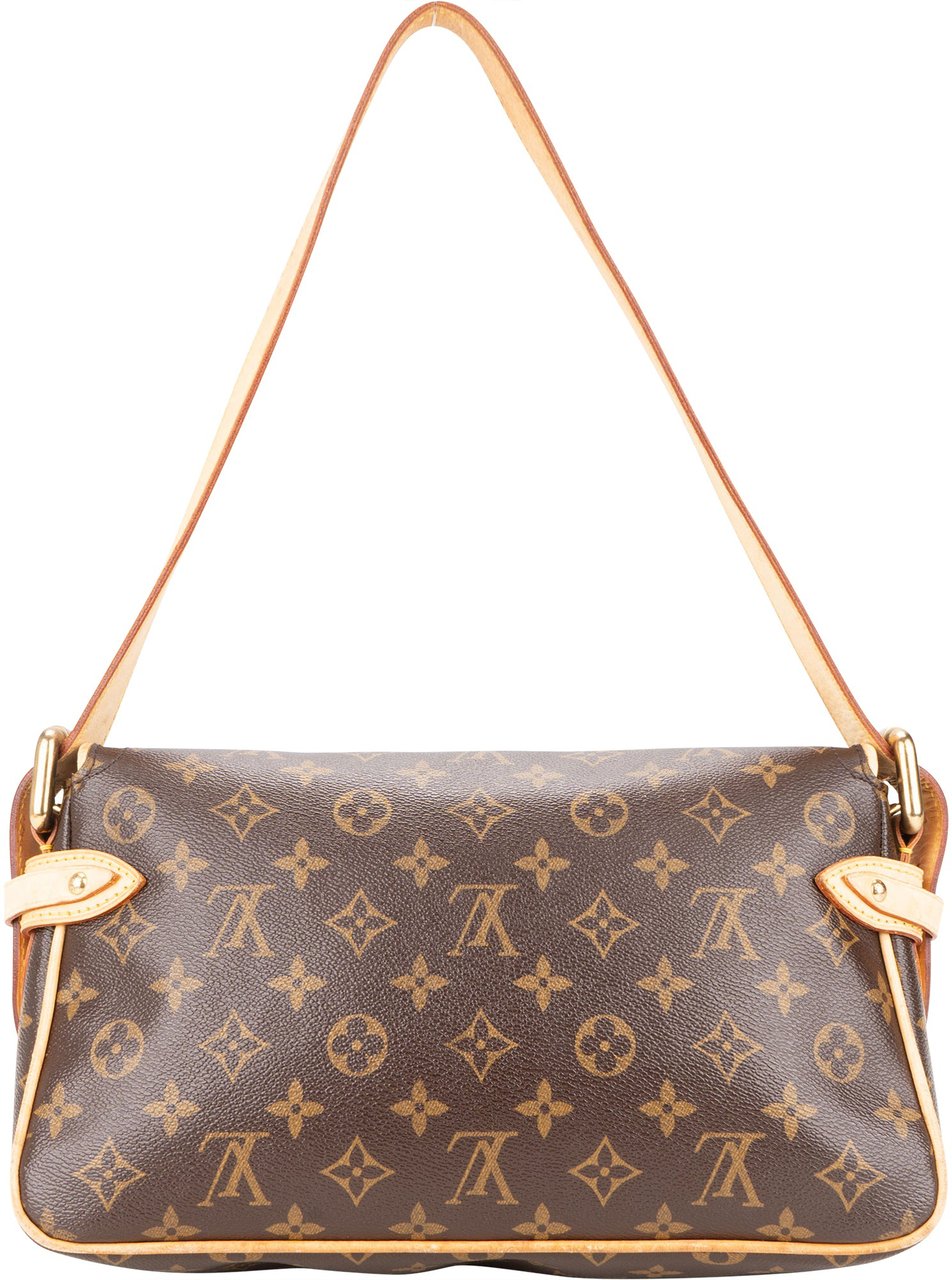 Louis Vuitton Louis Vuitton Canvas Monogram Hudson PM Shoulder Bag Divers