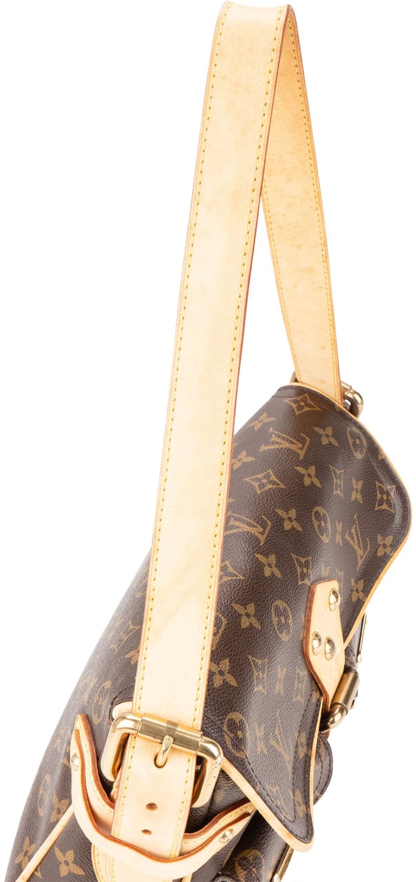 Louis Vuitton Louis Vuitton Canvas Monogram Hudson PM Shoulder Bag Divers