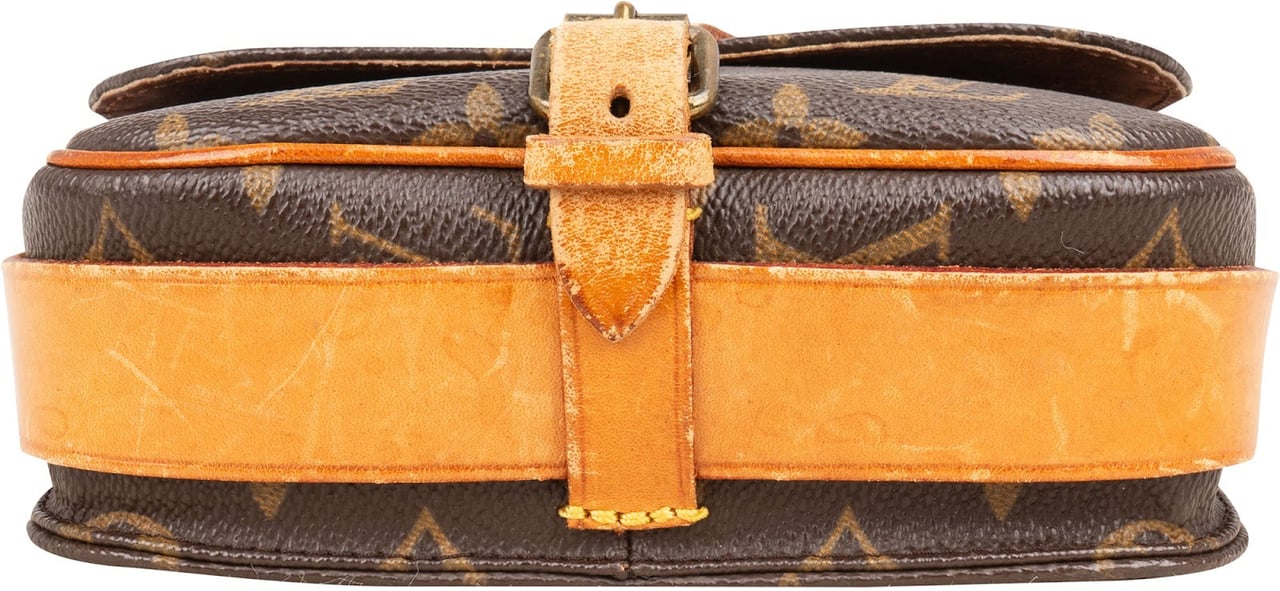 Louis Vuitton Louis Vuitton Monogram Canvas Cartouchiere PM Crossbody Bag Bruin