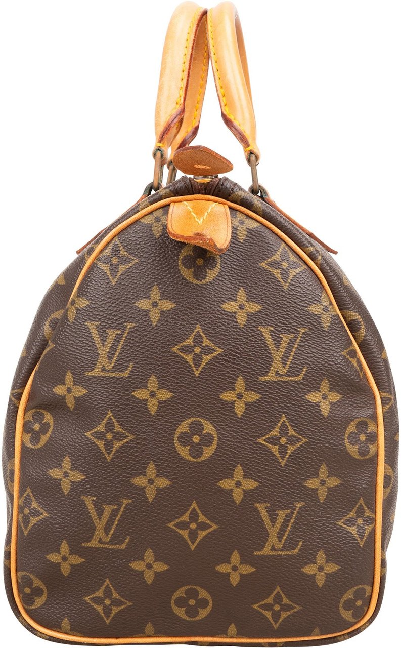 Louis Vuitton Louis Vuitton Monogram Canvas Speedy 30 Handbag Bruin