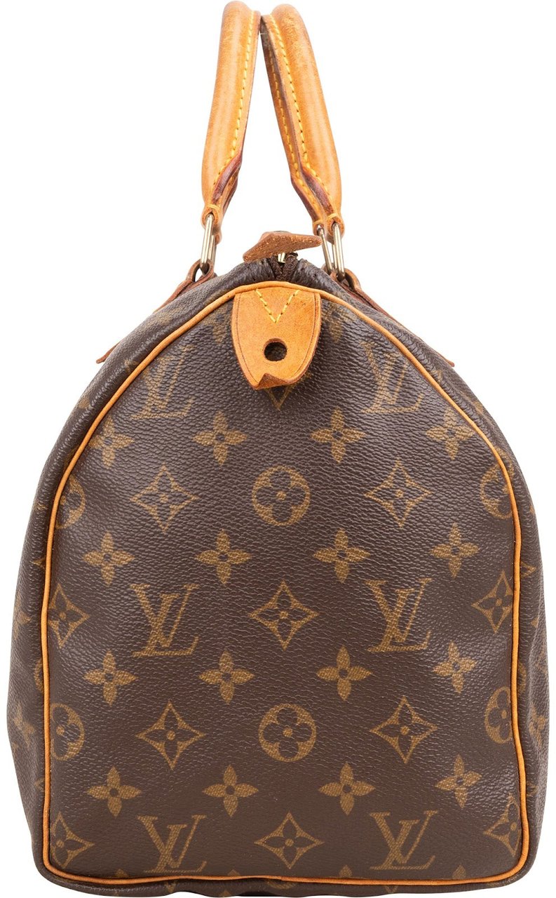 Louis Vuitton Louis Vuitton Monogram Canvas Speedy 30 Handbag Bruin