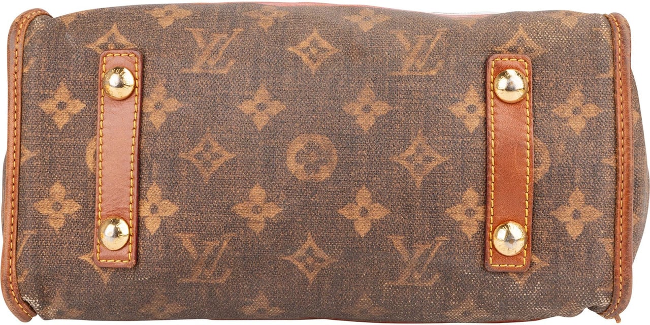 Louis Vuitton Limited Monogram Tussue Rayures Handbag Bruin