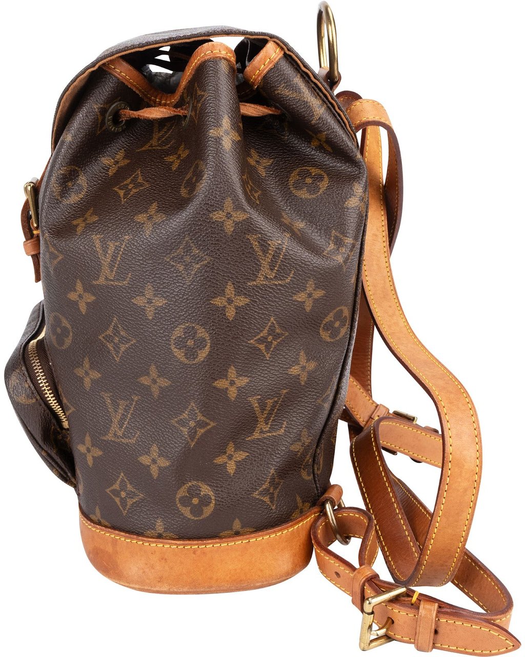 Louis Vuitton Louis Vuitton Monogram Canvas Montsouris MM Backpack Bruin