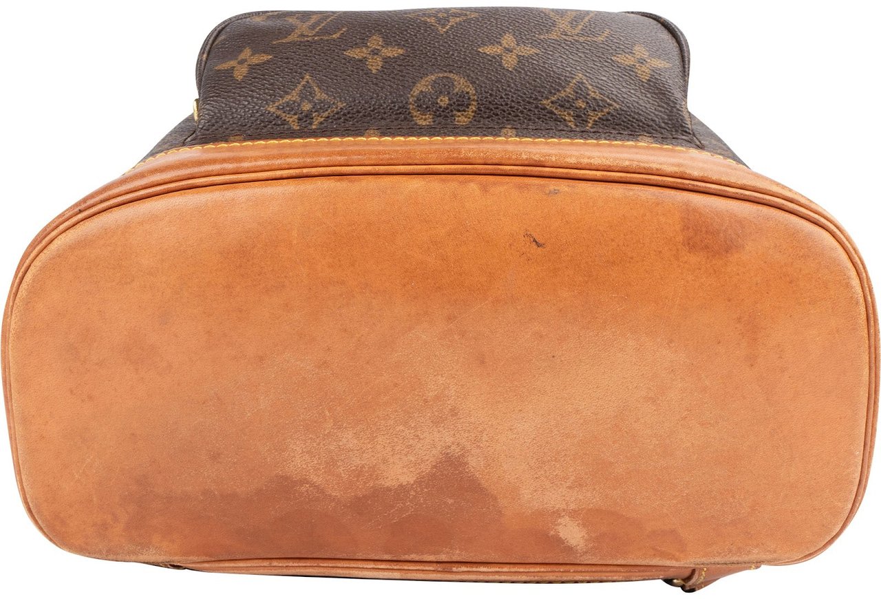 Louis Vuitton Louis Vuitton Monogram Canvas Montsouris MM Backpack Bruin