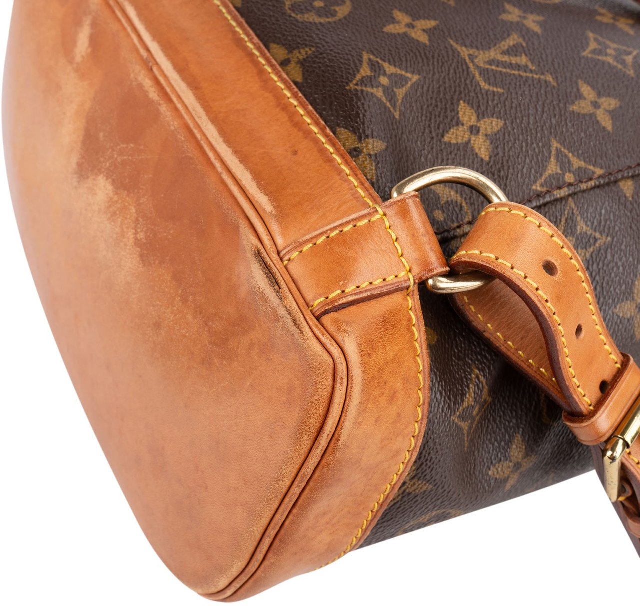 Louis Vuitton Louis Vuitton Monogram Canvas Montsouris MM Backpack Bruin