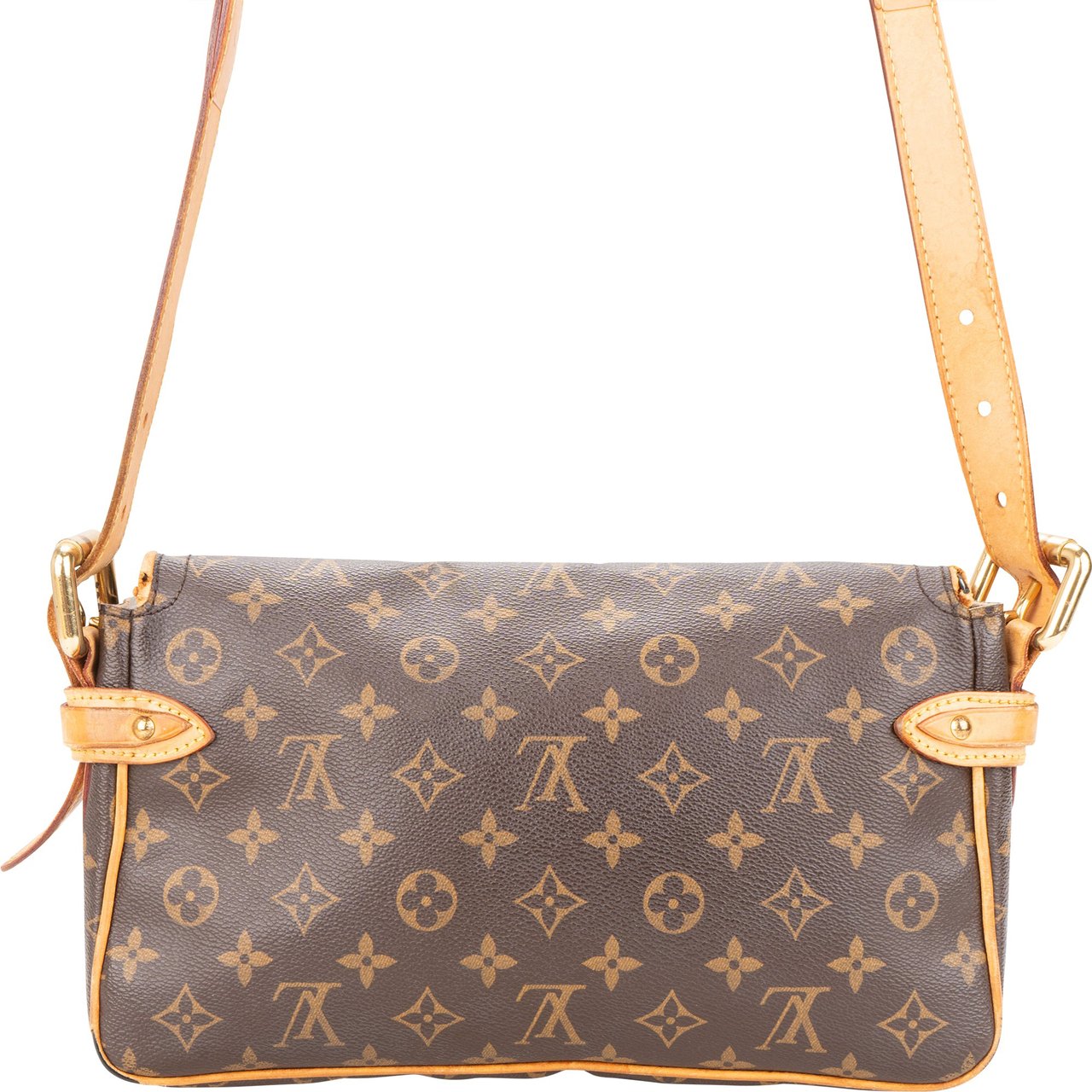 Louis Vuitton Louis Vuitton Canvas Monogram Hudson PM Crossbody Bag Divers