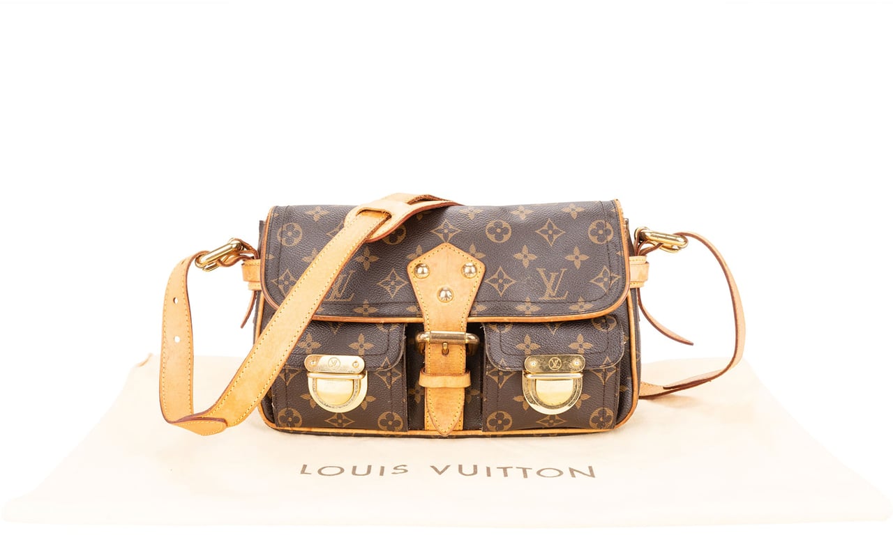 Louis Vuitton Louis Vuitton Canvas Monogram Hudson PM Crossbody Bag Divers