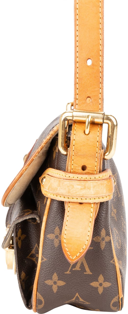 Louis Vuitton Louis Vuitton Canvas Monogram Hudson PM Crossbody Bag Divers