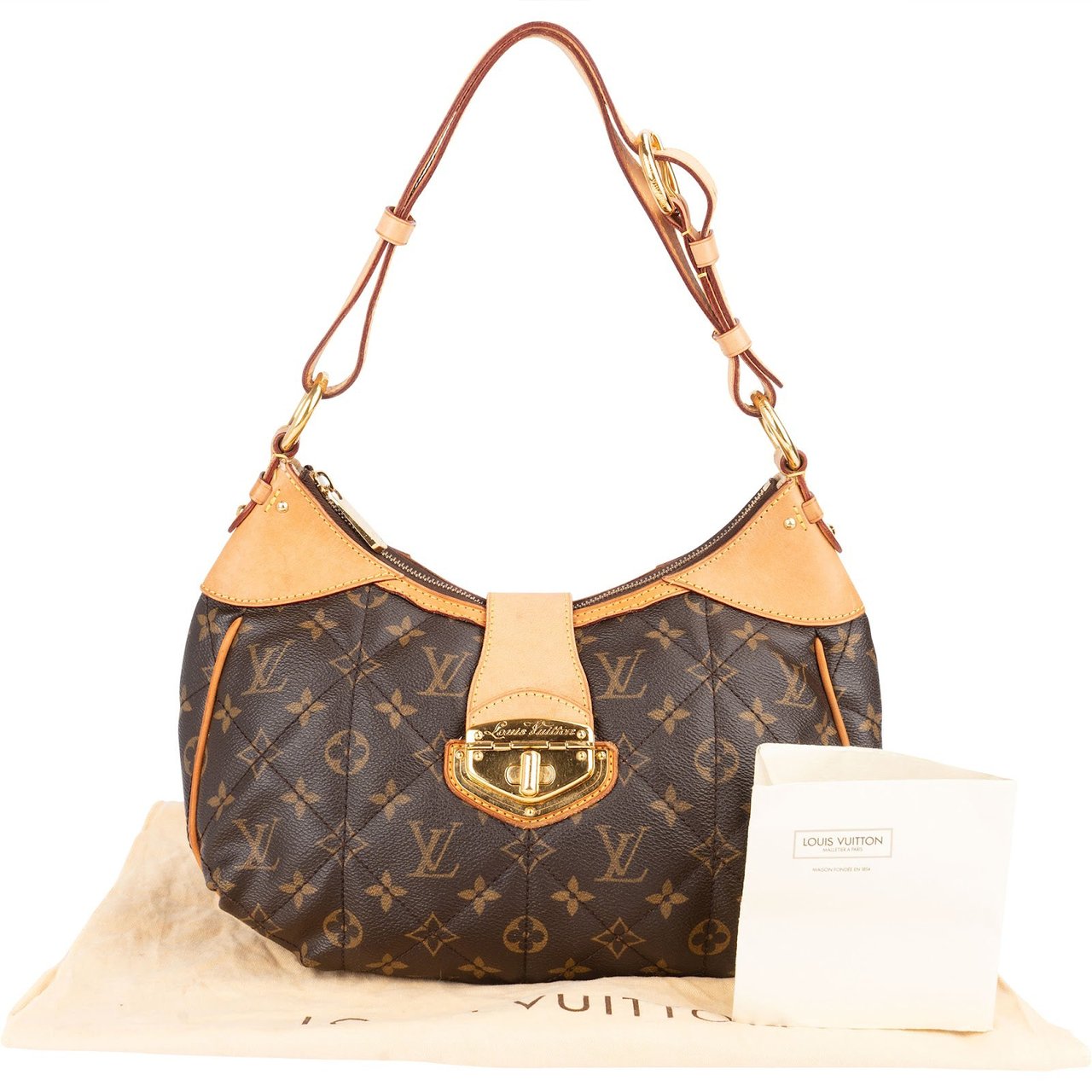 Louis Vuitton Louis Vuitton Monogram Canvas Etoile City PM Shoulder Bag Bruin