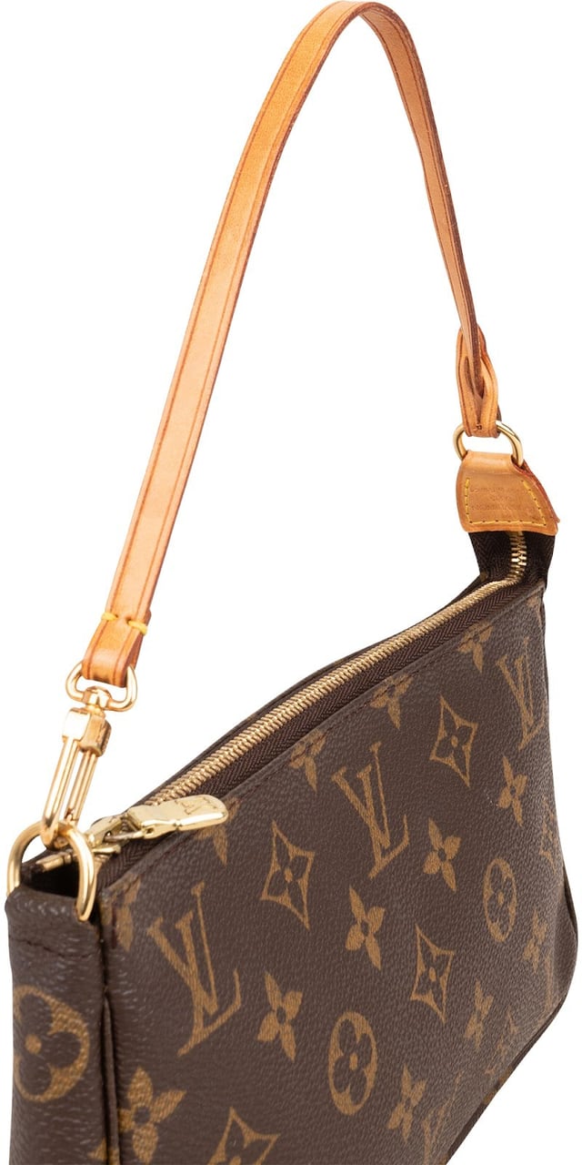 Louis Vuitton Monogram Canvas Pochette Accessoires Handbag Bruin