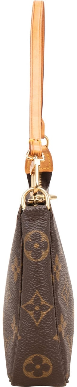 Louis Vuitton Monogram Canvas Pochette Accessoires Handbag Bruin
