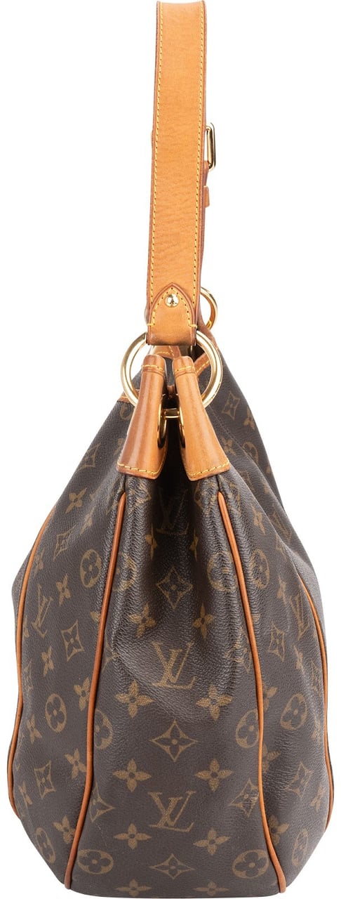 Louis Vuitton Louis Vuitton Monogram Canvas Galliera PM Shoulder Bag Bruin