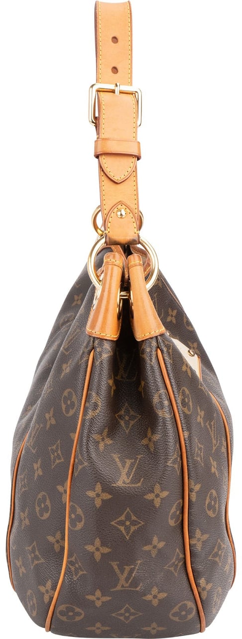 Louis Vuitton Louis Vuitton Monogram Canvas Galliera PM Shoulder Bag Bruin