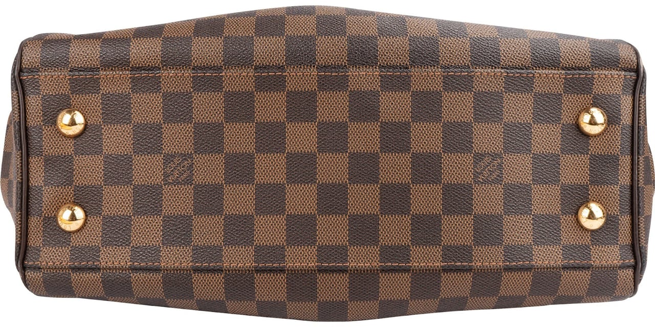 Louis Vuitton Louis Vuitton Monogram Damier Ebene Trevi PM Handbag Bruin