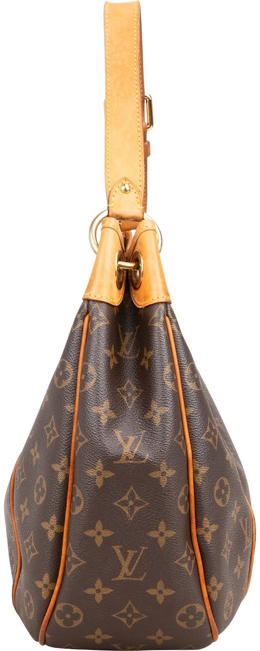 Louis Vuitton Louis Vuitton Monogram Canvas Galliera PM Shoulder Bag Bruin