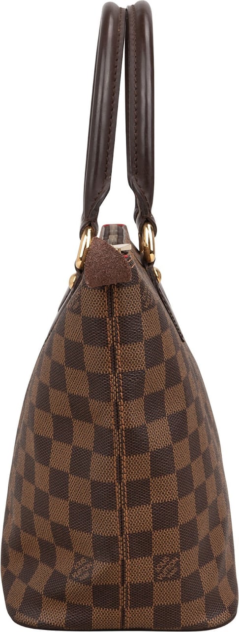 Louis Vuitton Louis Vuitton Monogram Damier Ebene Saleya PM Handbag Bruin