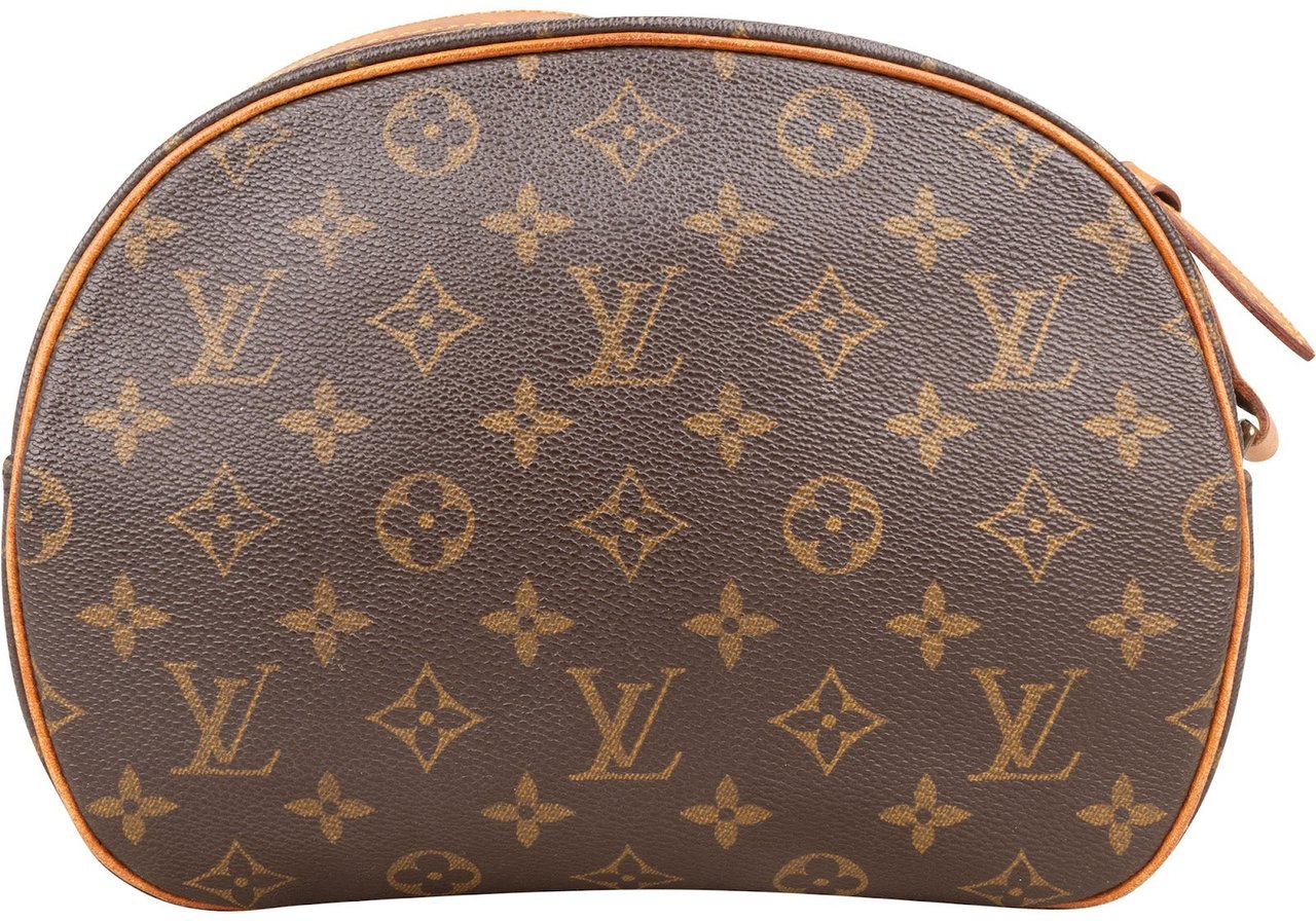Louis Vuitton Monogram Canvas Blois Crossbody Bag Bruin