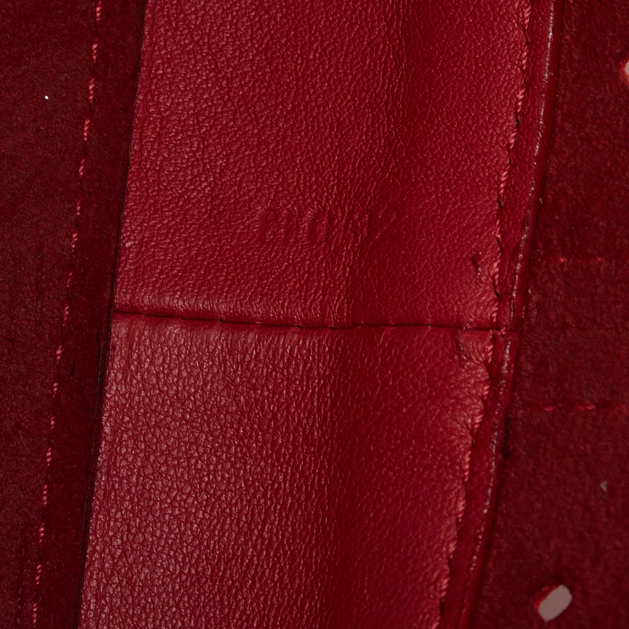 Louis Vuitton x Sofia Coppola Flore Perforated Noe Rood